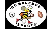 Bumblebee Sports christmas club