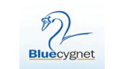 Bluecygnet Insurance & Finance Services